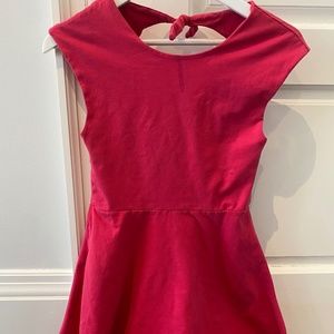 Aritzia Dress
